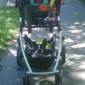 Meet your Posher, Mona